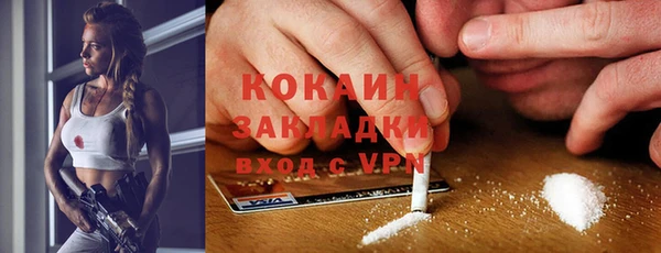 ГАЛЛЮЦИНОГЕННЫЕ ГРИБЫ Абаза