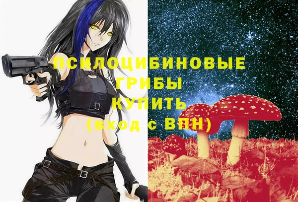 ГАЛЛЮЦИНОГЕННЫЕ ГРИБЫ Абаза