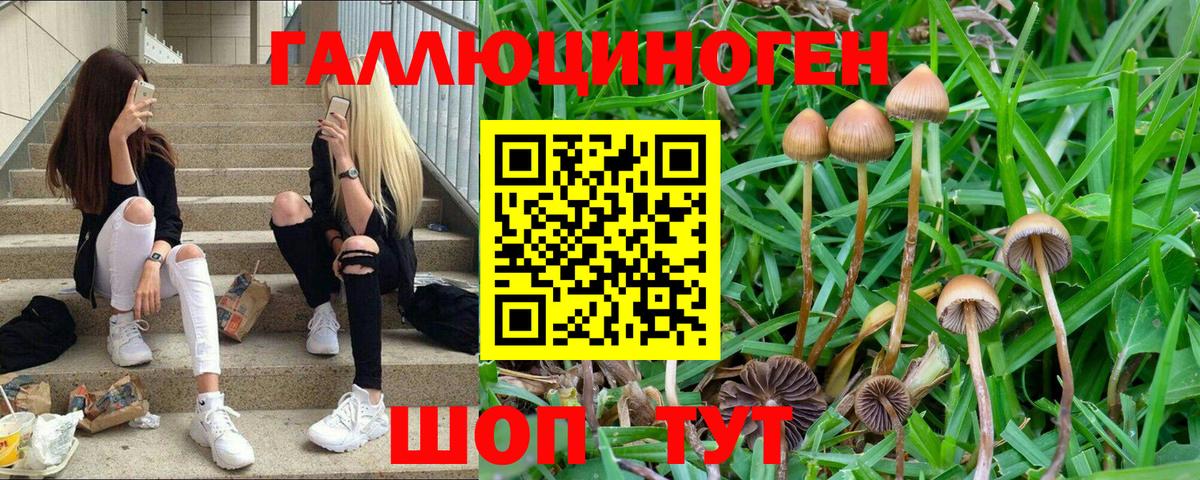 Ростов-на-Дону  Галлюциногенные грибы Cubensis  Вход с VPN 