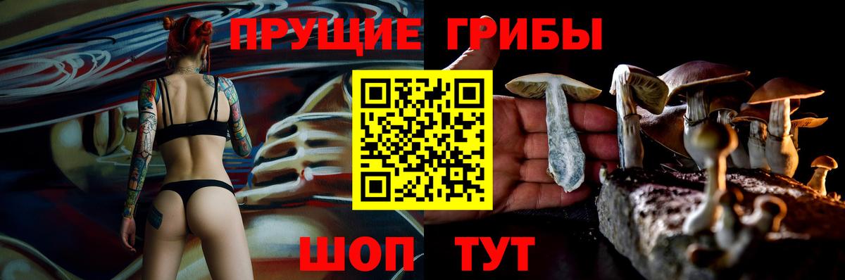 Псилоцибиновые грибы Psilocybine cubensis Ростов-на-Дону